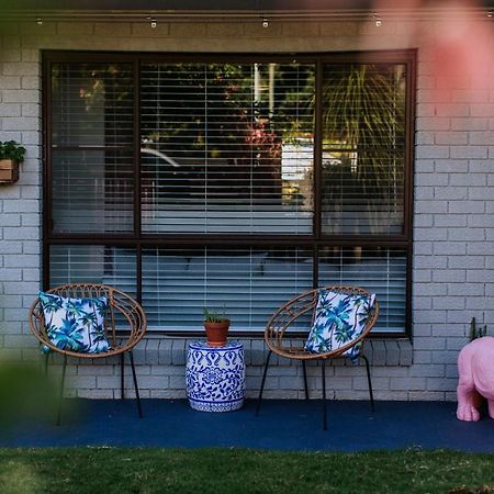The Pink Rhino Bellingen Lägenhet Exteriör bild